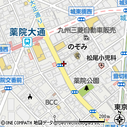福岡県福岡市中央区薬院3丁目12-29周辺の地図