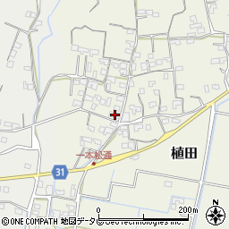 高知県南国市植田899-1周辺の地図