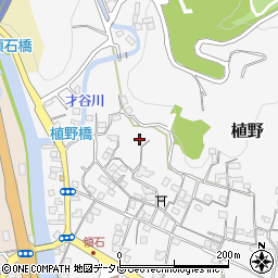 高知県南国市植野周辺の地図