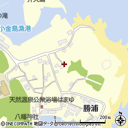 和歌山県東牟婁郡那智勝浦町勝浦1055-1周辺の地図