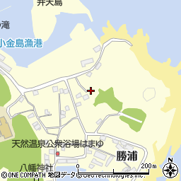 和歌山県東牟婁郡那智勝浦町勝浦1055-2周辺の地図