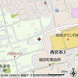 坪井商店周辺の地図