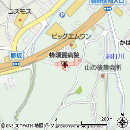 蜂須賀病院（庄正会）周辺の地図