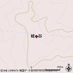 徳島県那賀郡那賀町大殿姥ヶ谷周辺の地図