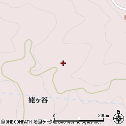 徳島県那賀郡那賀町大殿下タ平周辺の地図