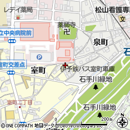 愛媛県松山市室町17-2周辺の地図