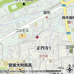 〒790-0904 愛媛県松山市正円寺の地図