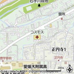 株式会社コスモス薬品　ディスカウントドラッグコスモス東野店周辺の地図