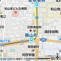 愛媛県松山市歩行町1丁目13-1周辺の地図