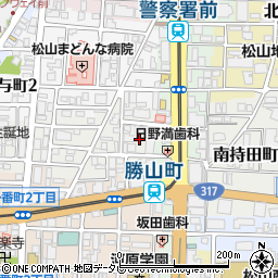 愛媛県松山市歩行町1丁目13周辺の地図
