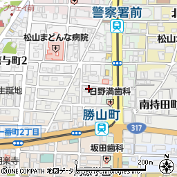 愛媛県松山市歩行町1丁目13-7周辺の地図