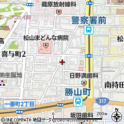愛媛県松山市歩行町1丁目11-4周辺の地図