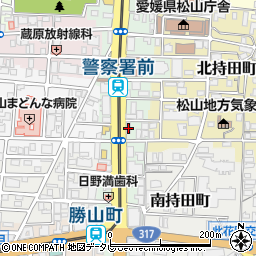 ひめ薬局　勝山店周辺の地図