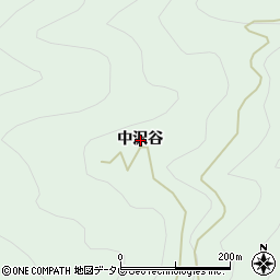 徳島県那賀町（那賀郡）沢谷（中沢谷）周辺の地図