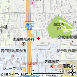 愛媛県松山市谷町46周辺の地図