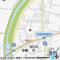 徳島県阿南市桑野町中野周辺の地図