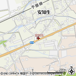 愛媛県西条市安知生243周辺の地図