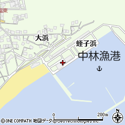 徳島県阿南市中林町蛭子浜周辺の地図