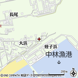 徳島県阿南市中林町大浜10周辺の地図