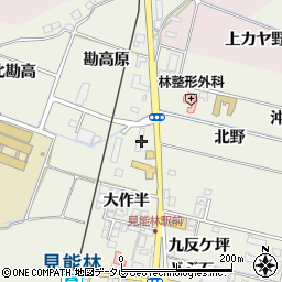 徳島県阿南市見能林町大作半19-1周辺の地図