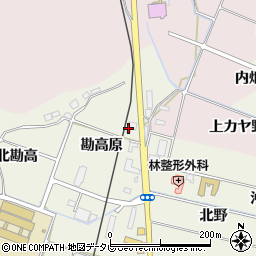 有限会社ナルディ周辺の地図