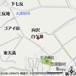 徳島県阿南市長生町白ケ鼻周辺の地図