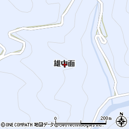 徳島県勝浦郡上勝町生実雄中面周辺の地図