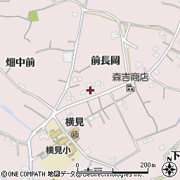 徳島県阿南市横見町前長岡周辺の地図