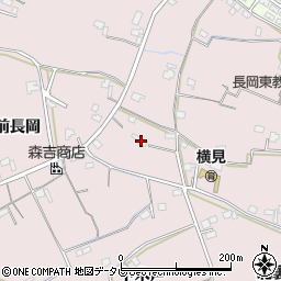 徳島県阿南市横見町長岡東55周辺の地図