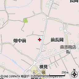徳島県阿南市横見町畑中前周辺の地図
