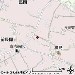 徳島県阿南市横見町長岡東65周辺の地図