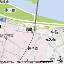 徳島県阿南市住吉町（西畭）周辺の地図