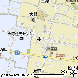 徳島県阿南市下大野町小野94周辺の地図