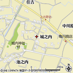 徳島県阿南市上大野町城之内周辺の地図