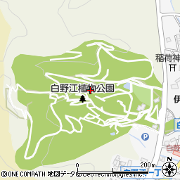 白野江植物公園周辺の地図