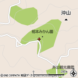 山口県周南市大島山-1106周辺の地図