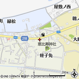徳島県小松島市大林町蛭子免周辺の地図