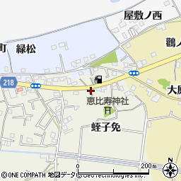 徳島県小松島市大林町（蛭子免）周辺の地図