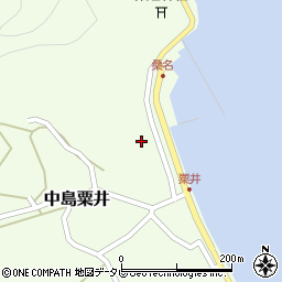 愛媛県松山市中島粟井1164周辺の地図