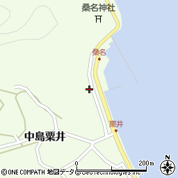 愛媛県松山市中島粟井1181周辺の地図