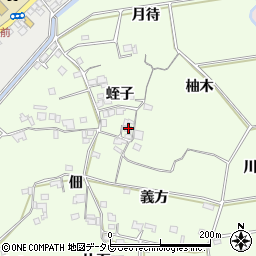 徳島県小松島市新居見町蛭子1周辺の地図