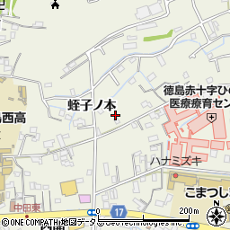 徳島県小松島市中田町蛭子ノ本周辺の地図