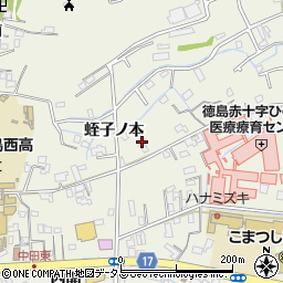 徳島県小松島市中田町（蛭子ノ本）周辺の地図