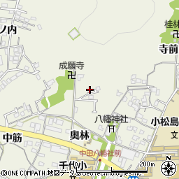 徳島県小松島市中田町奥林8-13周辺の地図
