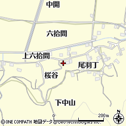 徳島県徳島市方上町桜谷1周辺の地図