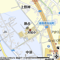 徳島市立大松小学校周辺の地図