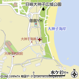 徳島県徳島市大原町大神子11周辺の地図