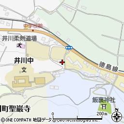 徳島県三好市井川町タクミ田96周辺の地図