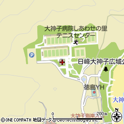 徳島県徳島市大原町大神子7周辺の地図