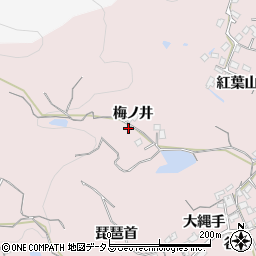 徳島県徳島市大谷町梅ノ井周辺の地図